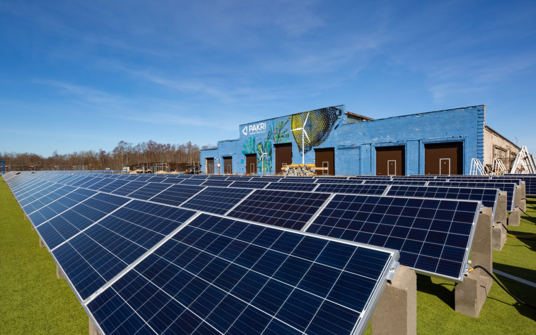 PAKRI brought new life to the used artificial turf in the solar farm 